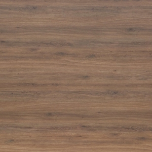 MS 467 SC04