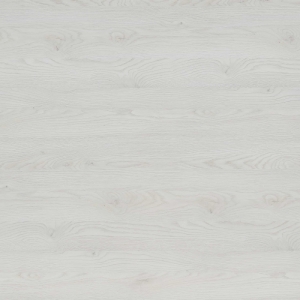 MS 468 SC02